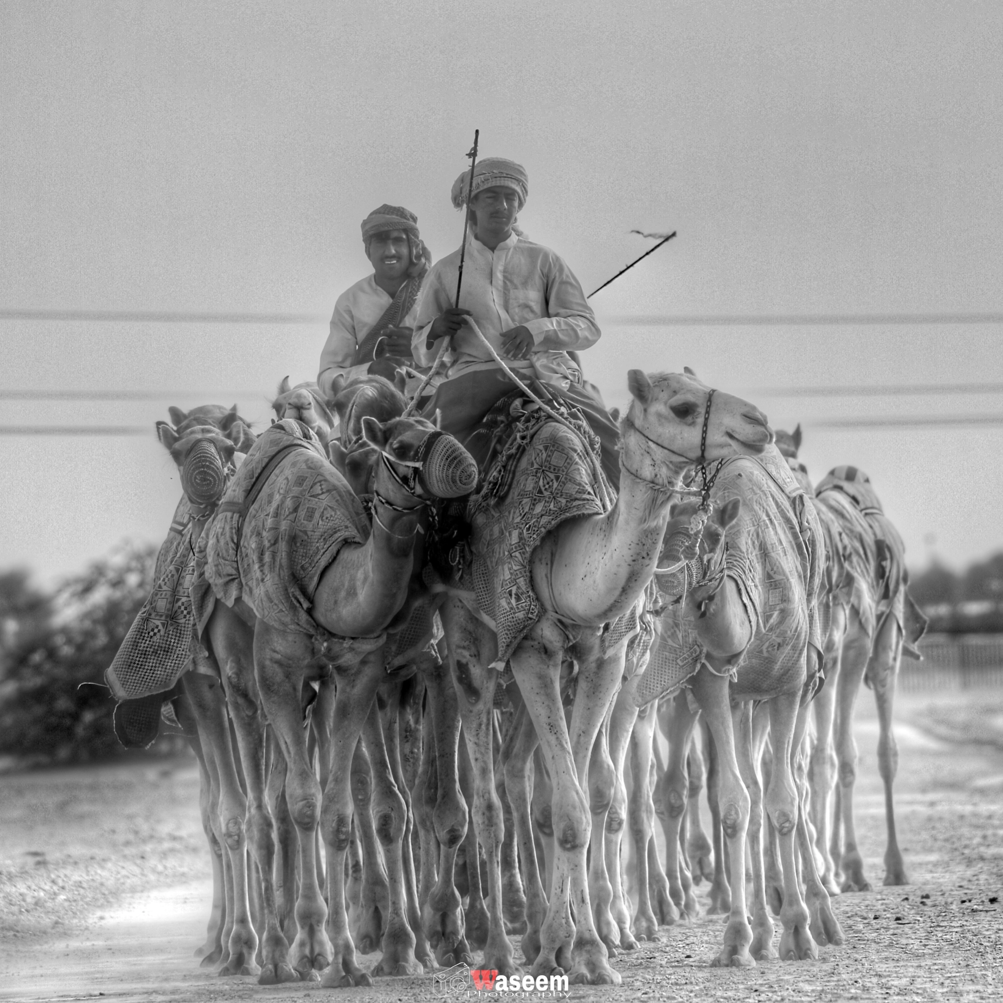Canon 150-500mm sample photo. Dubai present and the past and future photography