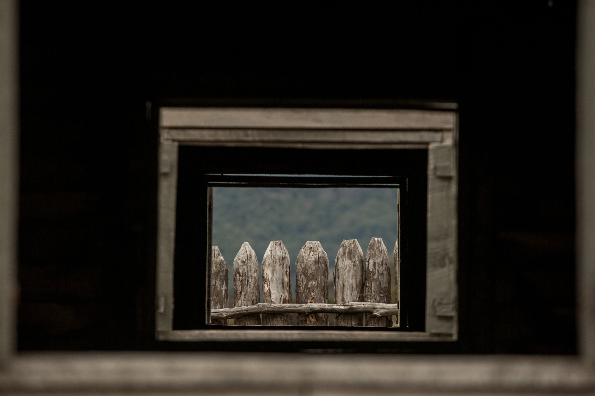 Canon EOS-1D Mark III sample photo. Ventana photography