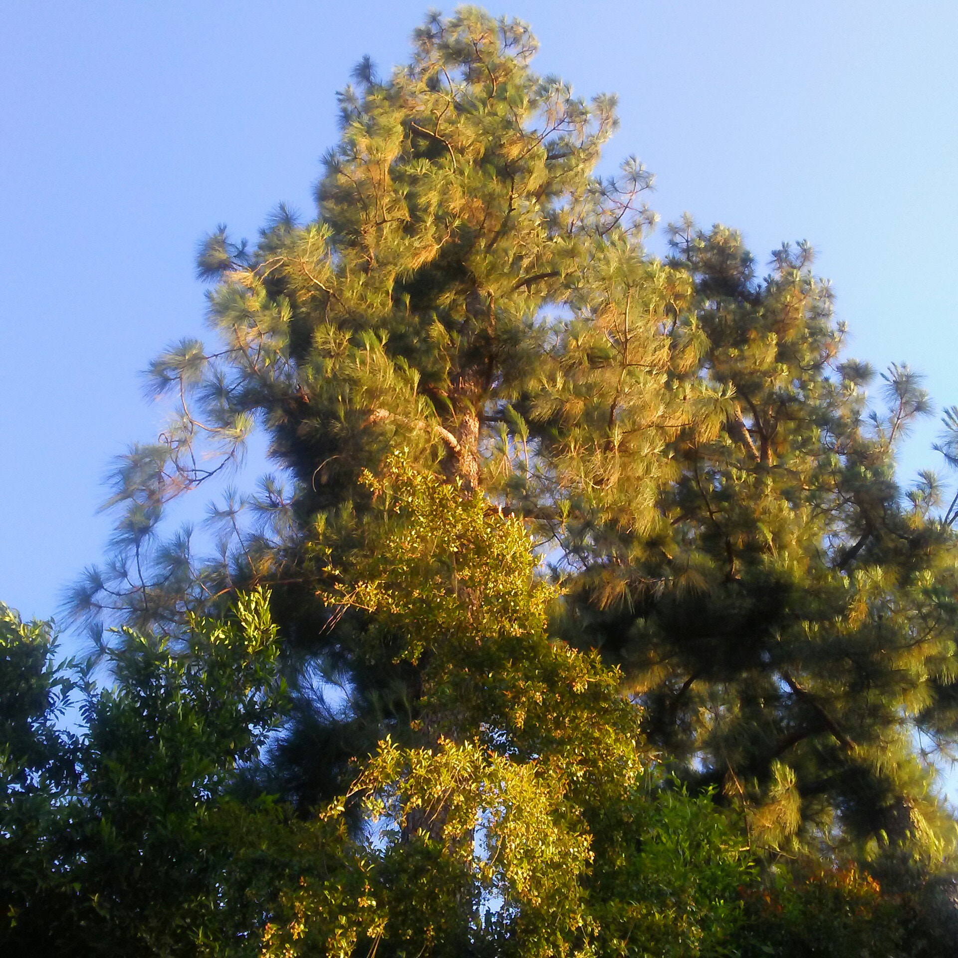 LG M1 sample photo. Dusk approaches. .. photography