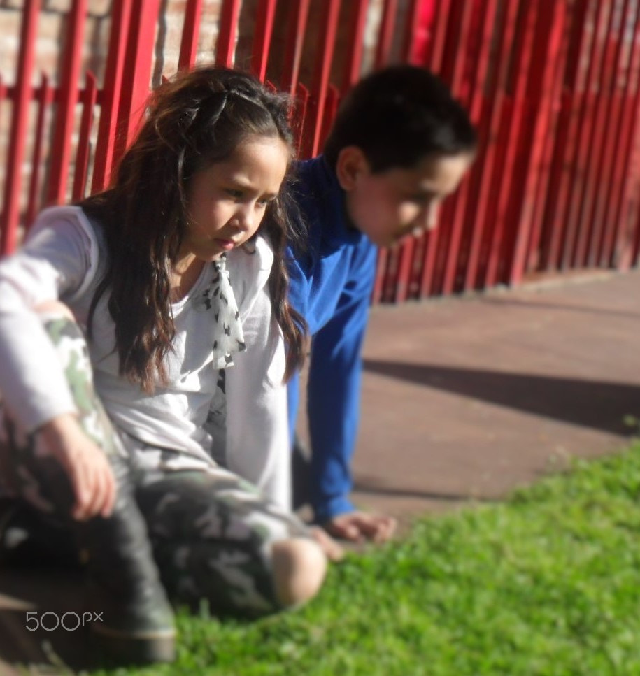 Samsung PL100 /  TL205 / VLUU PL100 /  PL101 sample photo. Observando photography