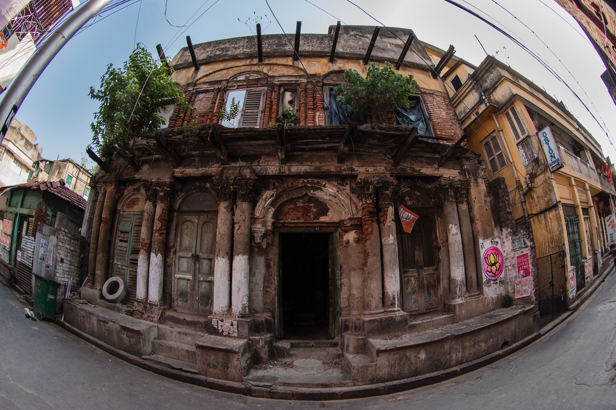 Canon EF 8-15mm F4L Fisheye USM sample photo