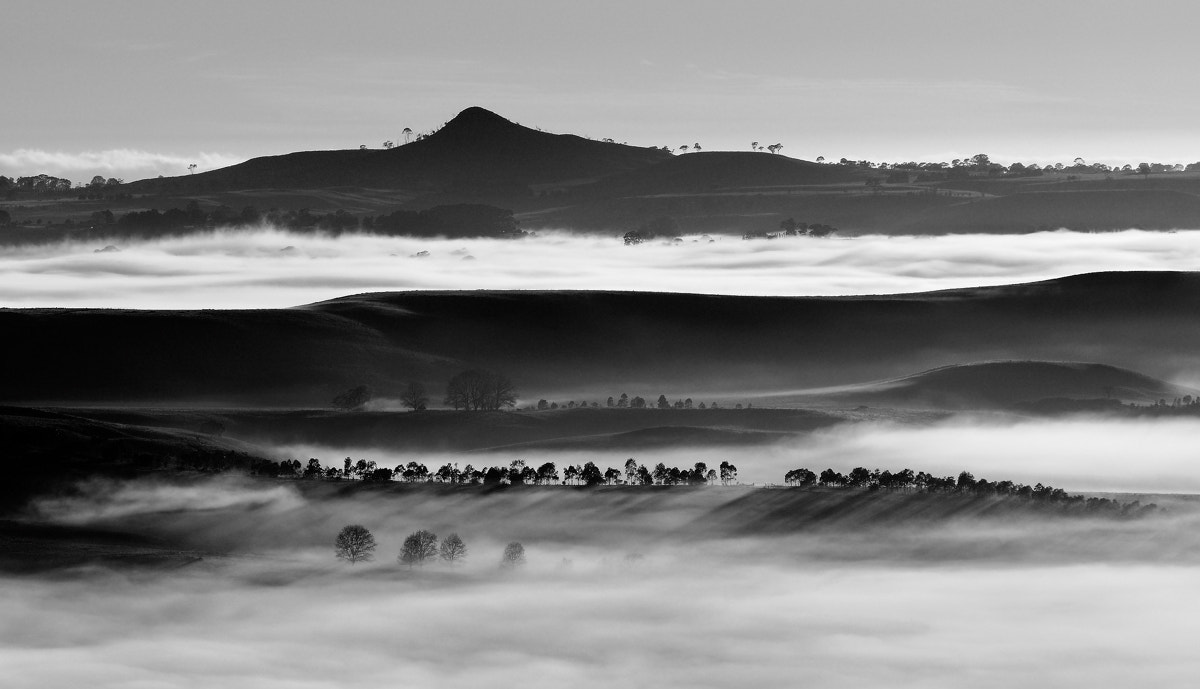 AF-S Zoom-Nikkor 80-200mm f/2.8D IF-ED sample photo. Chandler photography