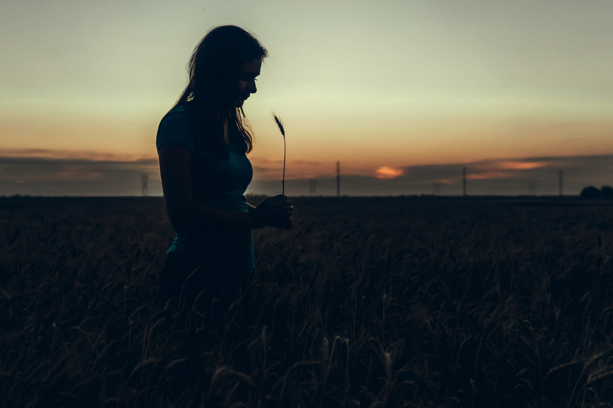 Sony a99 II + Sony DT 16-50mm F2.8 SSM sample photo. Wheat silhouette  photography