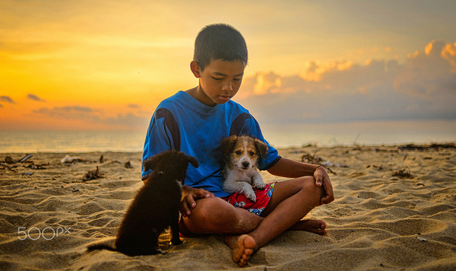 Nikon D800E + Nikon AF Nikkor 35mm F2D sample photo. The lovely child and his cat in thailand photography