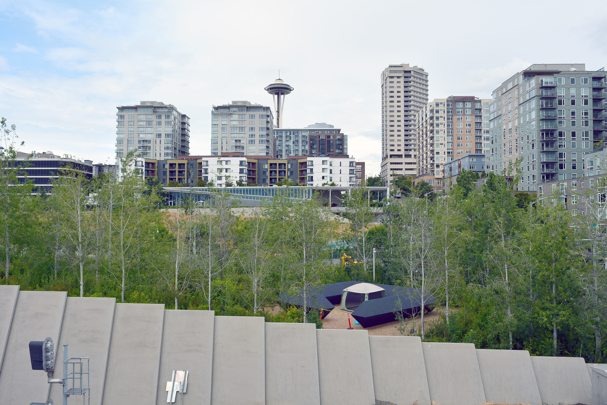 Nikon D7100 + Nikon AF Nikkor 20mm F2.8D sample photo. Olympic park, seattle photography