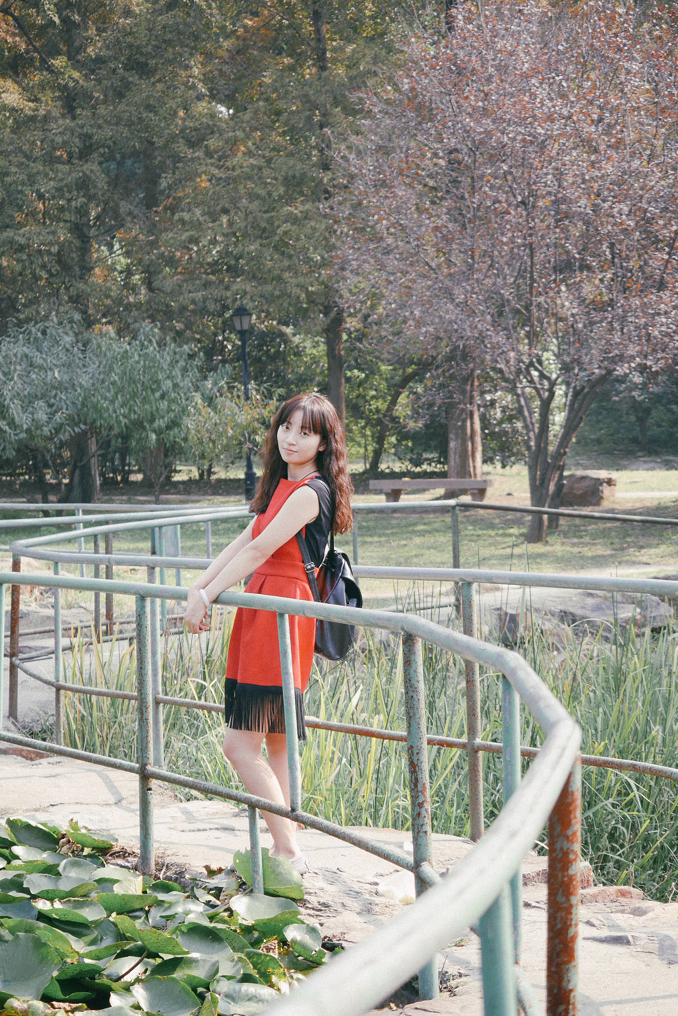 Panasonic Lumix DMC-GX7 sample photo. 白马公园 photography