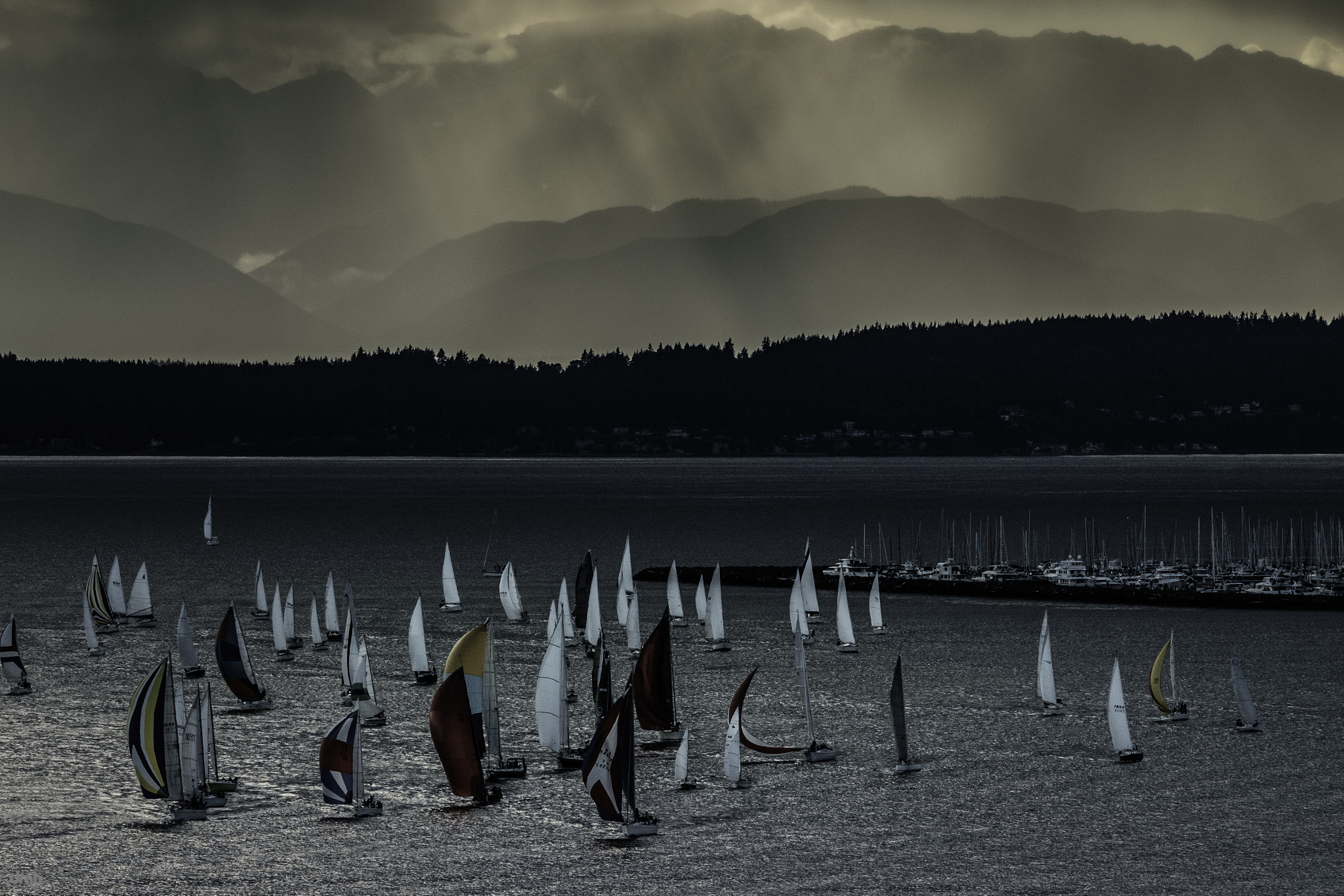 Fujifilm XF 100-400mm F4.5-5.6 R LM OIS WR sample photo. Reaching... photography