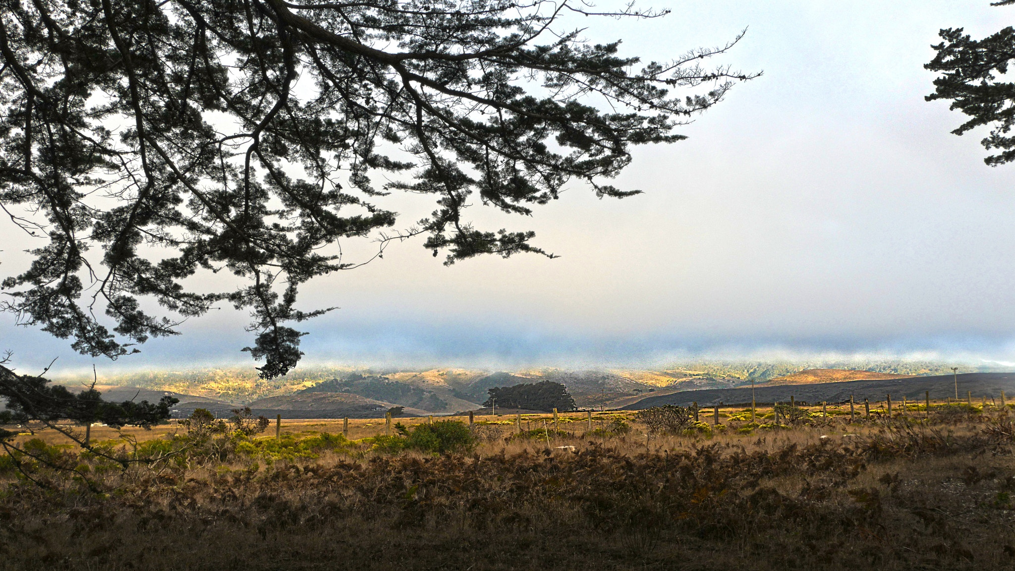 Panasonic Lumix DMC-GH4 sample photo. Underfog photography