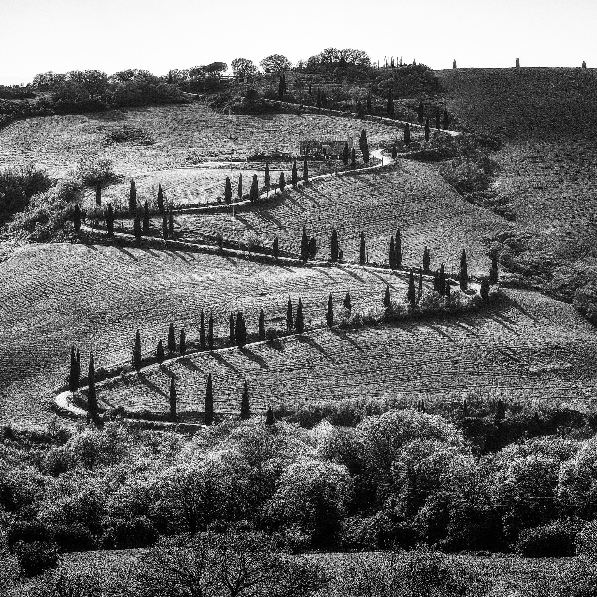 Phase One IQ180 + Schneider LS 150mm f/3.5 sample photo. Tuscany zickzack b&w photography