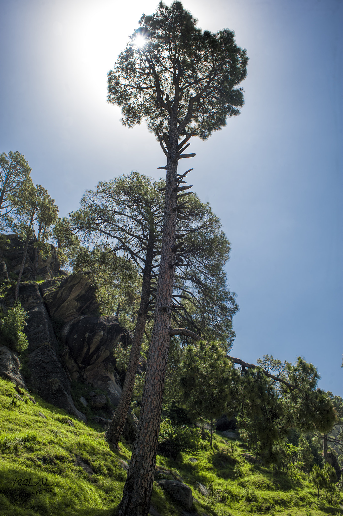Nikon D700 + AF Nikkor 28mm f/2.8 sample photo. Morning  photography