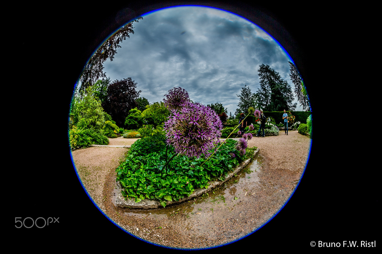 Canon EF 8-15mm F4L Fisheye USM sample photo. Fischauge testobjektiv photography