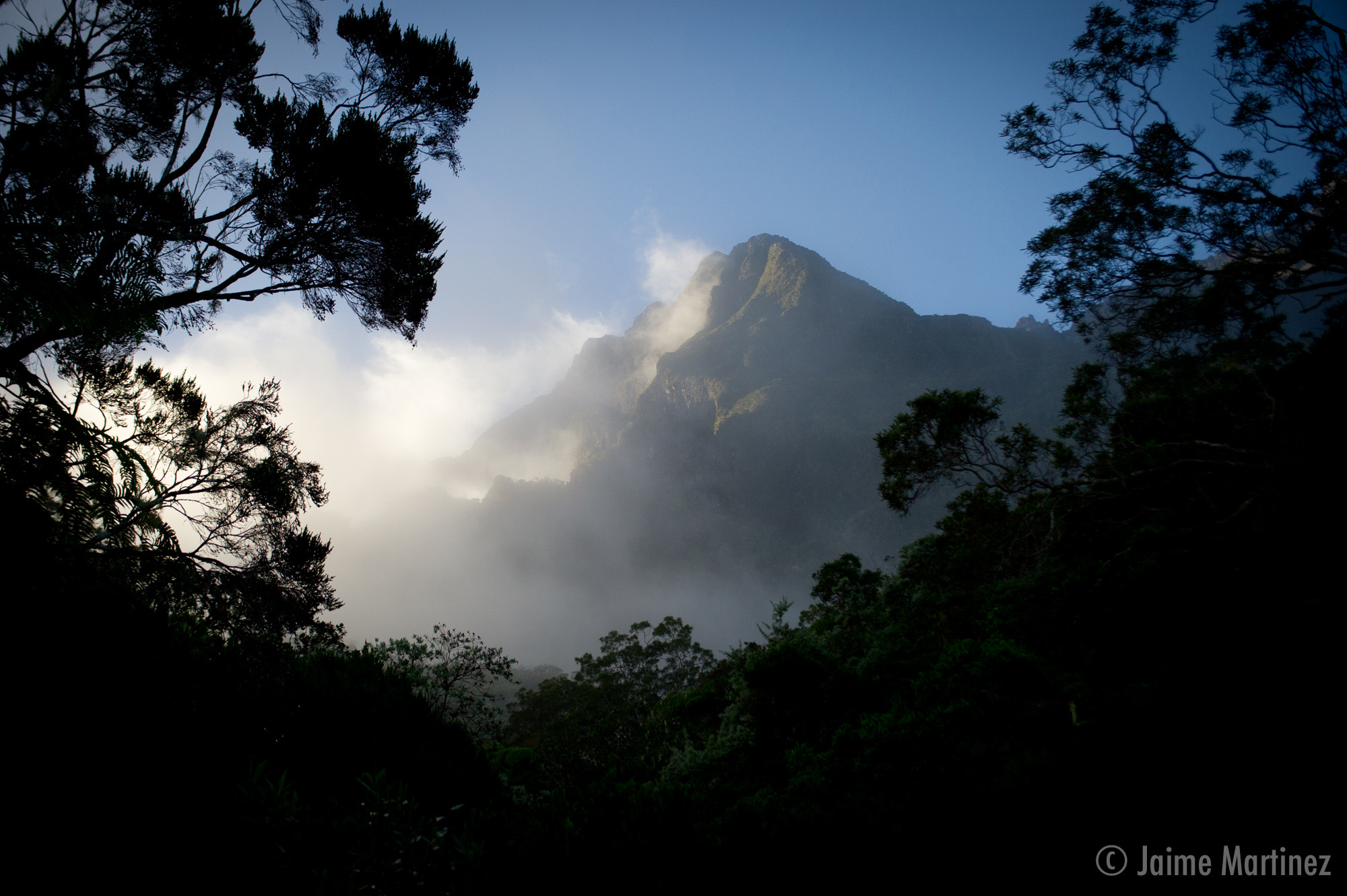Nikon D3S sample photo. Le gros morne photography