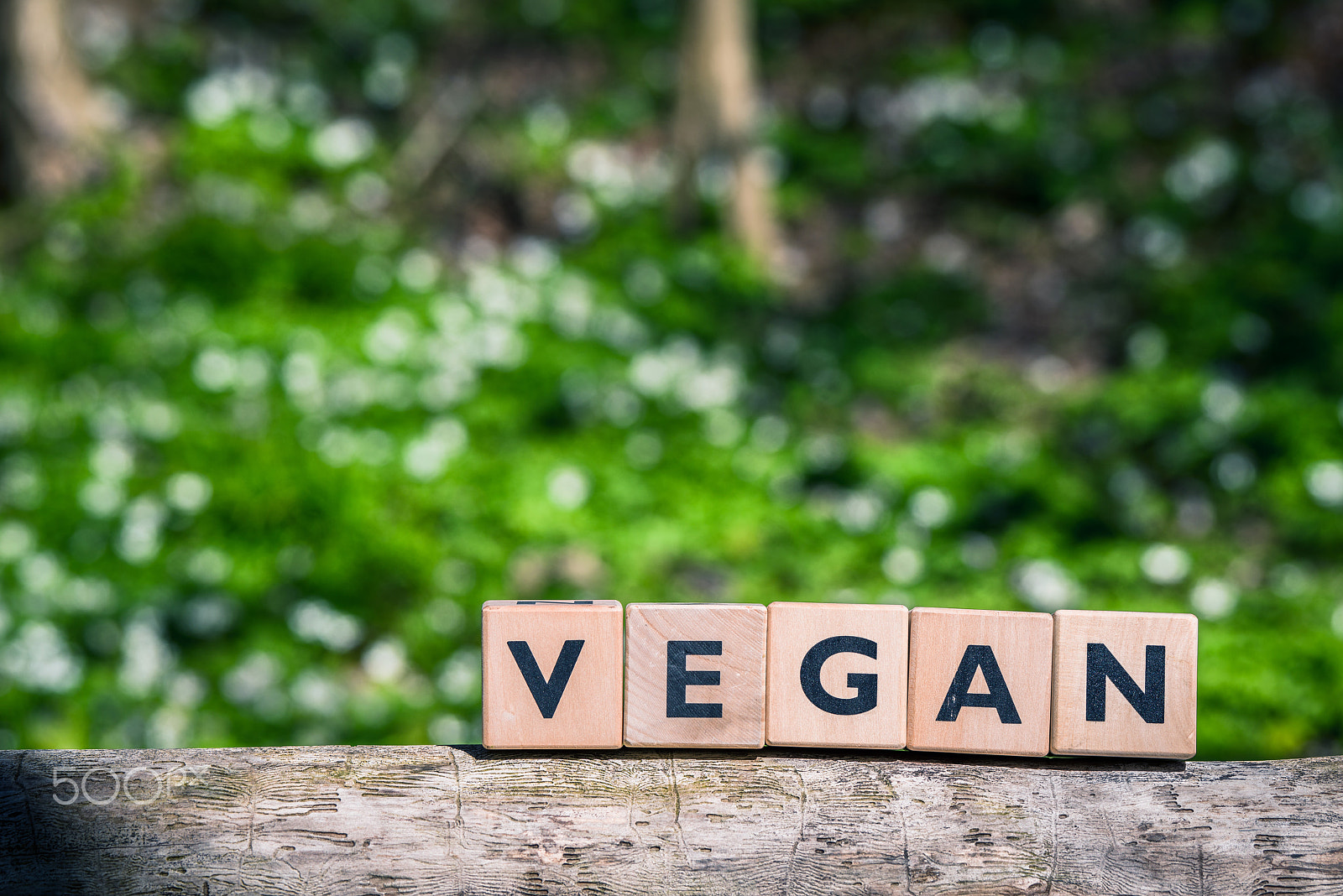 Sony a7R + Sony 70-400mm F4-5.6 G SSM II sample photo. Vegan sign in a green garden photography