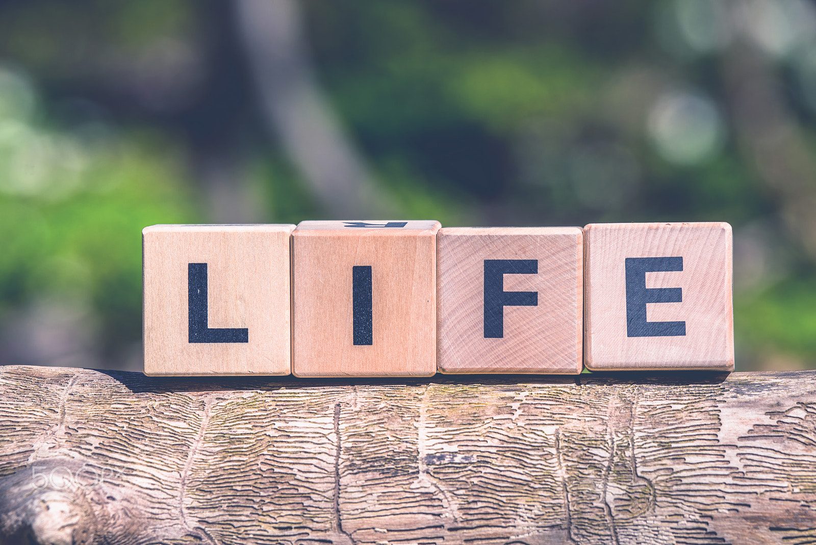 Sony 70-400mm F4-5.6 G SSM II sample photo. Life sign in natural environment photography