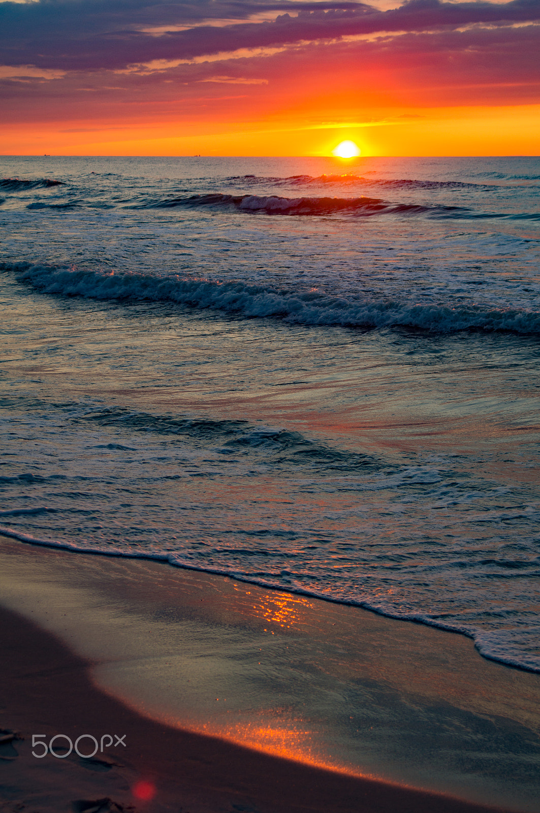 Sigma 17-70mm F2.8-4.5 (D) sample photo. Red point photography