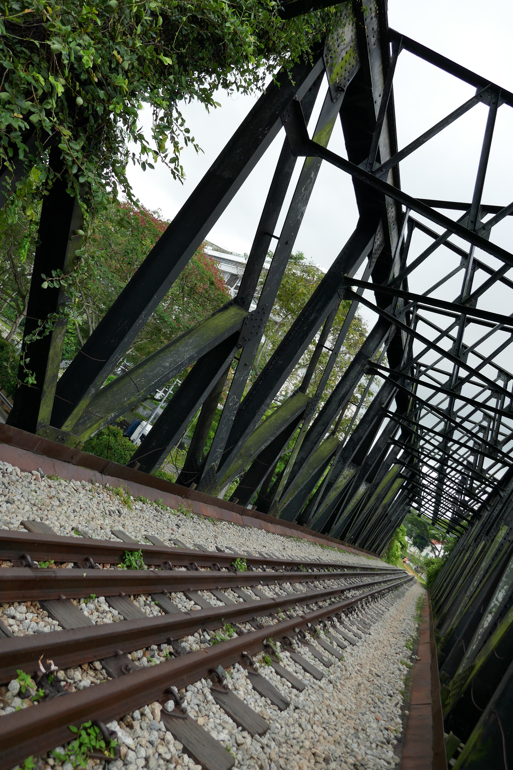 Panasonic DMC-TZ110 sample photo. Bukit timah railway photography