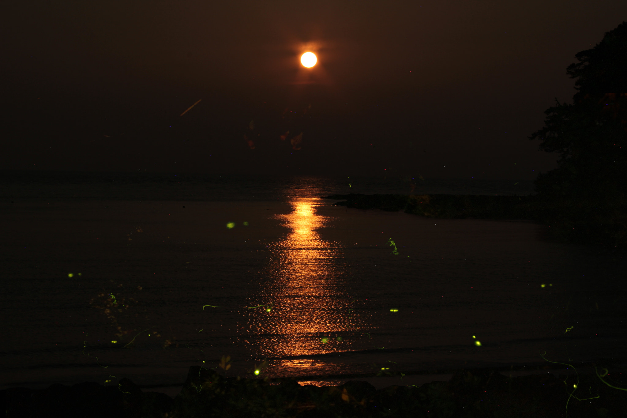 Canon EOS 550D (EOS Rebel T2i / EOS Kiss X4) + Tokina AT-X 280 AF Pro 28-80mm f/2.8 Aspherical sample photo. Sunset and firefly(夕日と蛍) photography