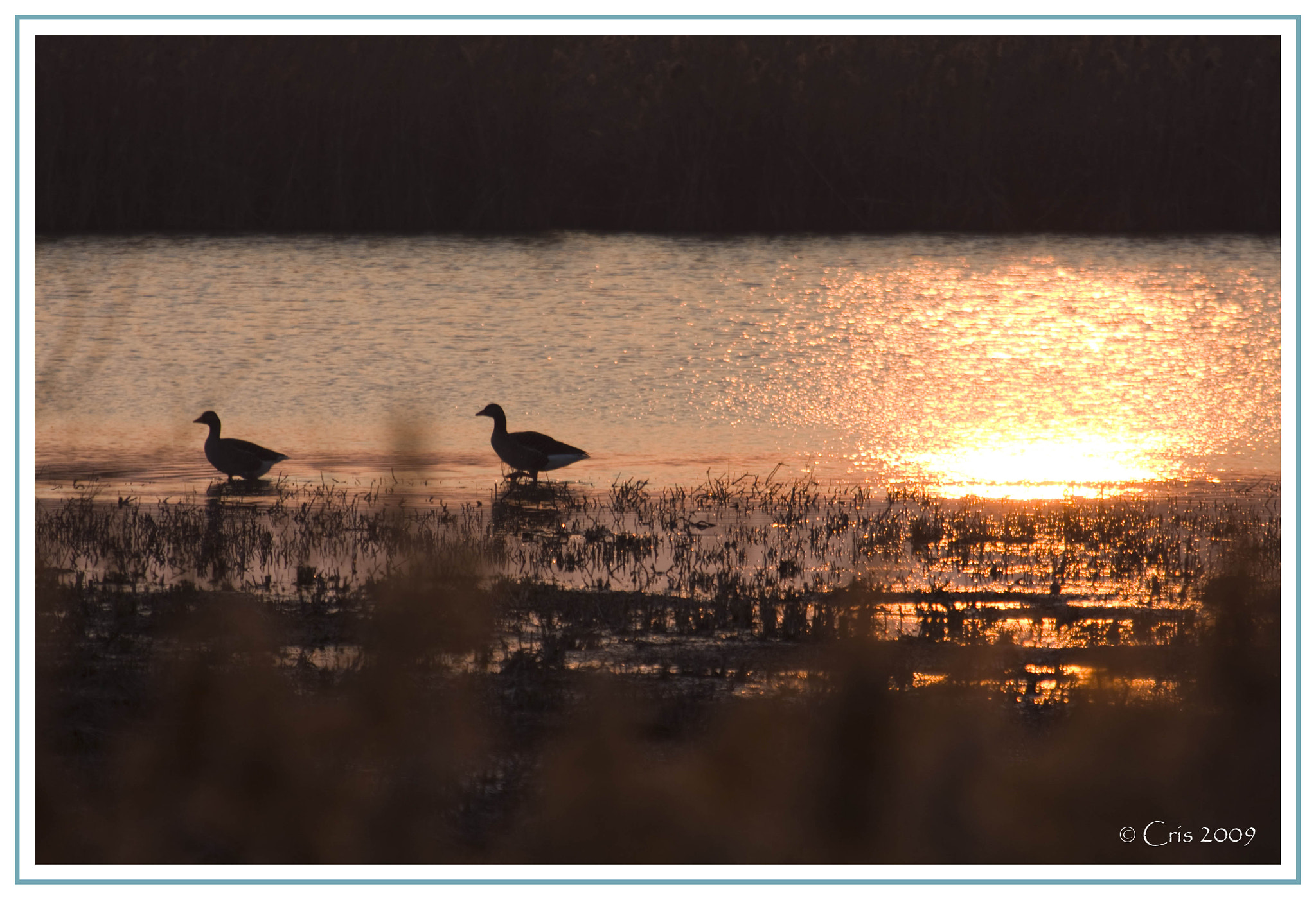 Canon EF 70-200mm F2.8L USM sample photo. Web photography