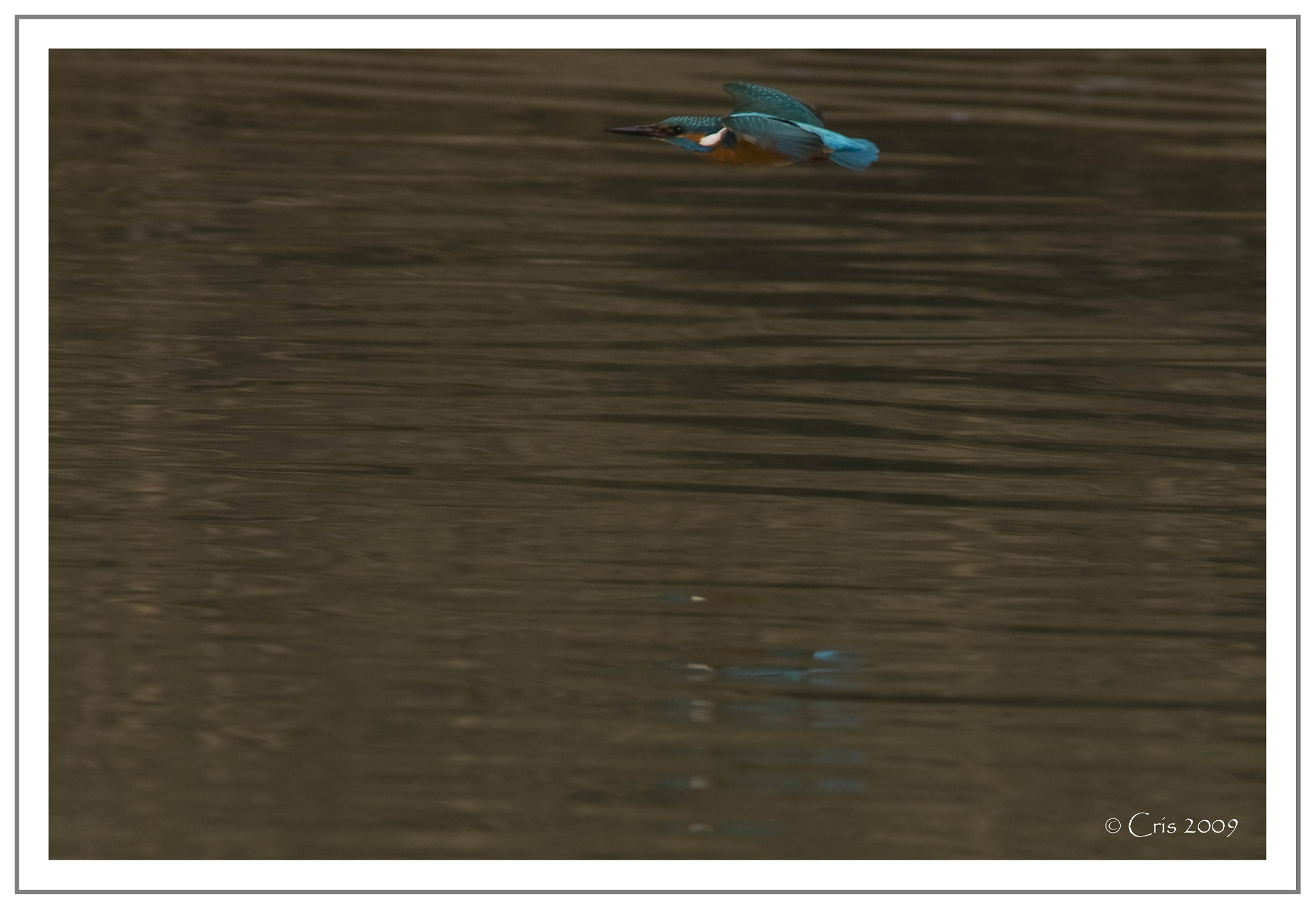Canon EF 300mm f/2.8L + 1.4x sample photo. Web photography