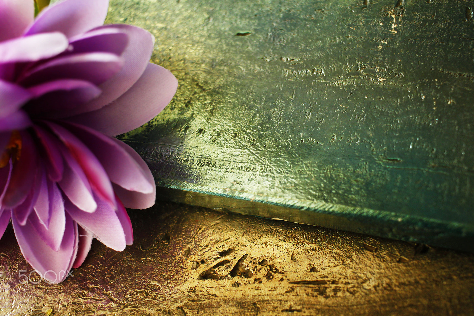 Canon EF-S 24mm F2.8 STM sample photo. Flower photography