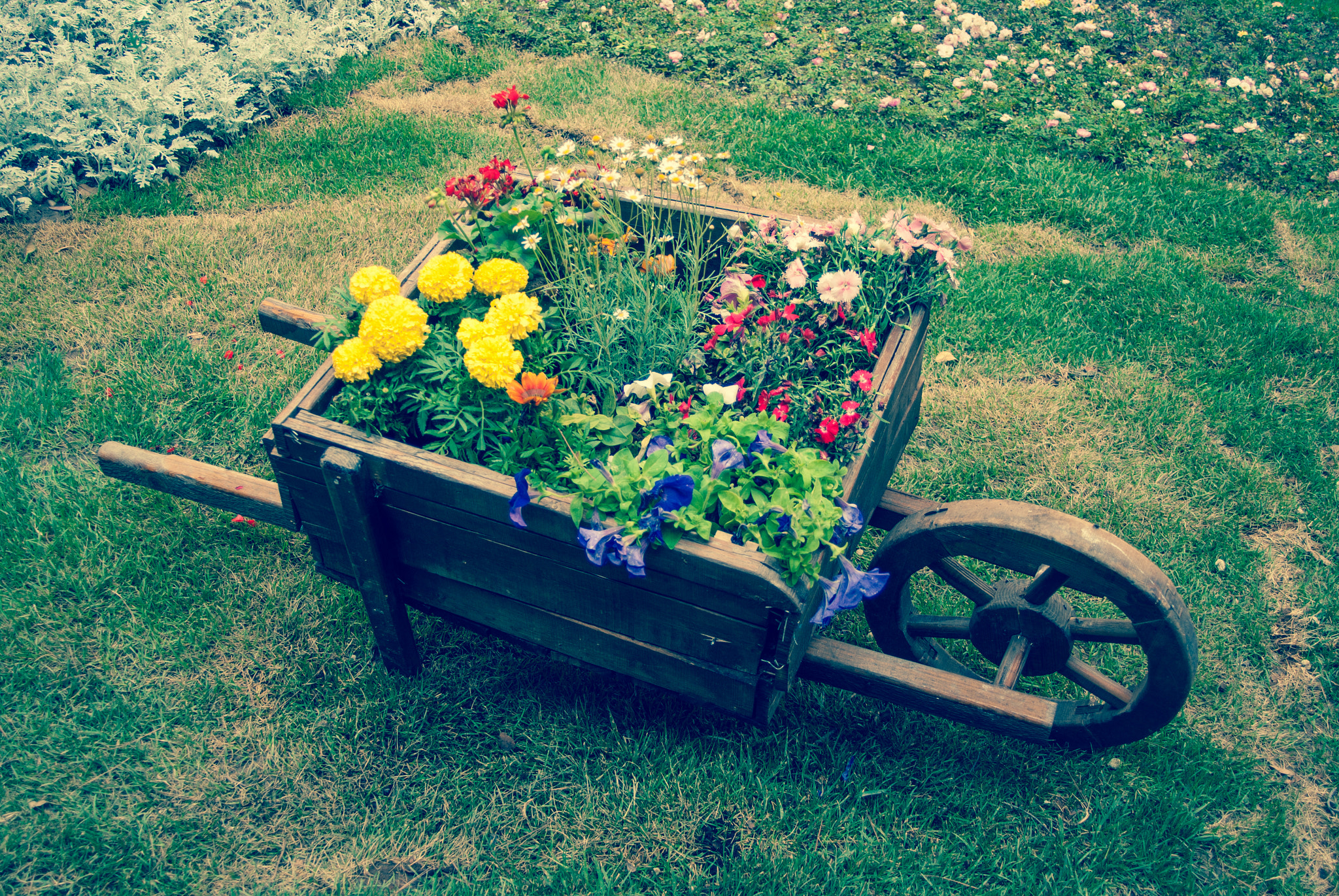 Minolta AF 28-80mm F3.5-5.6 II sample photo. Packing some beauty photography