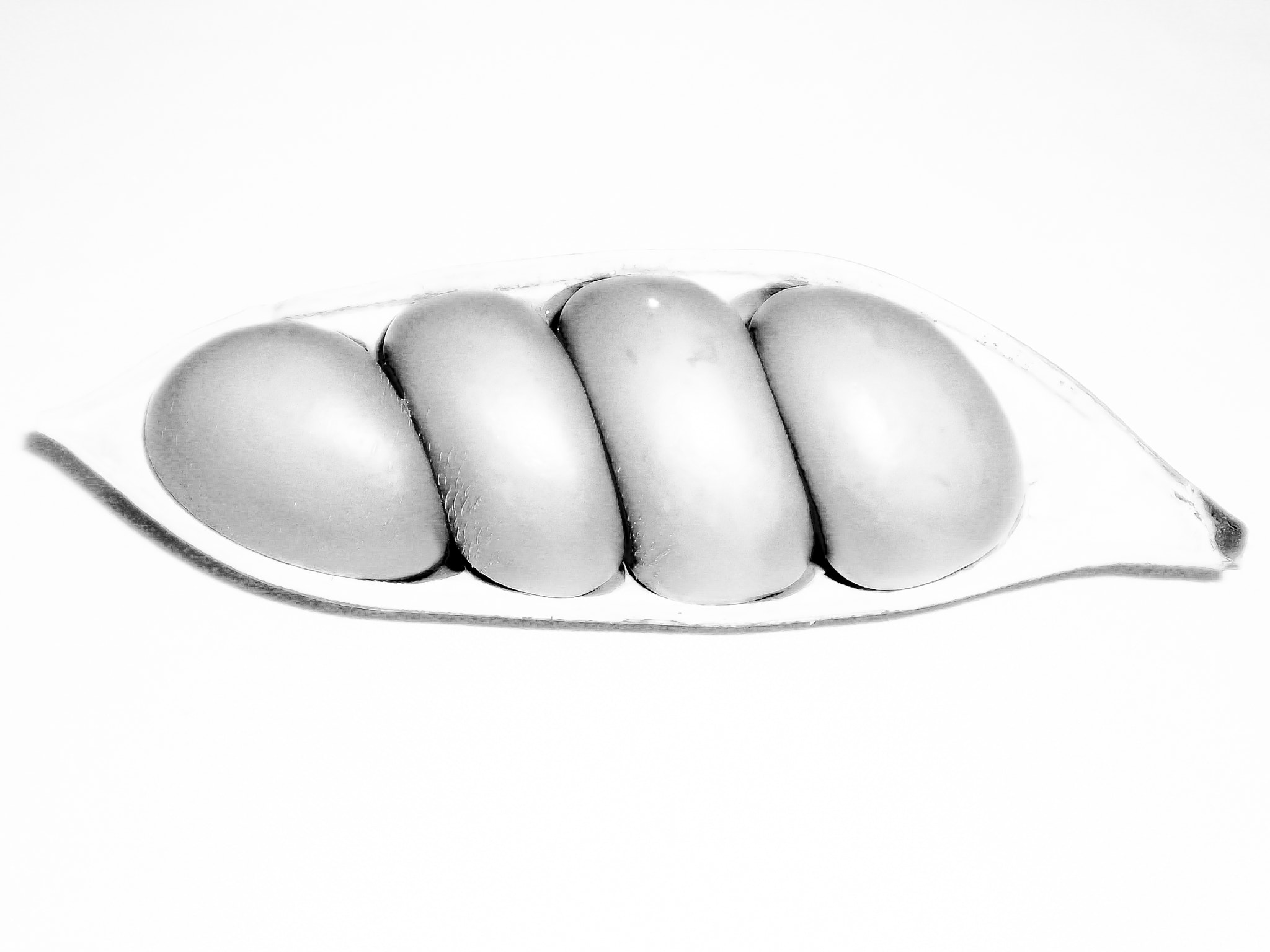 Olympus FE20,X15,C25 sample photo. Peas in a pod photography