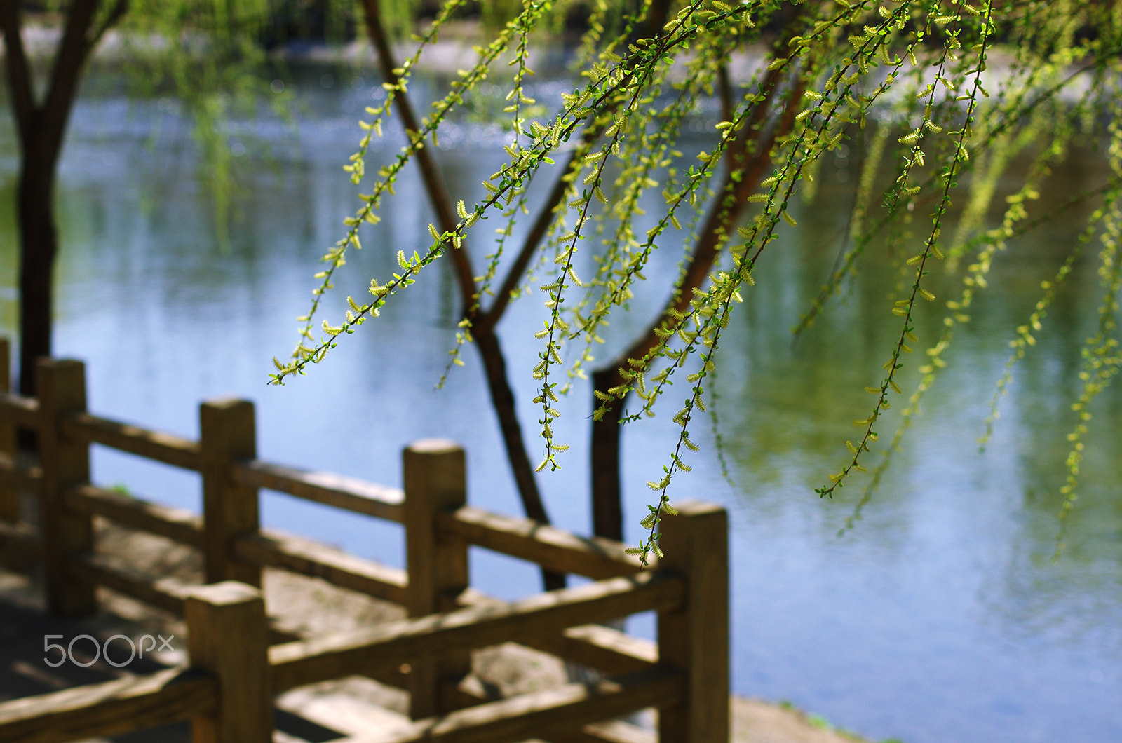 Pentax K-5 IIs sample photo. 14.jpg photography