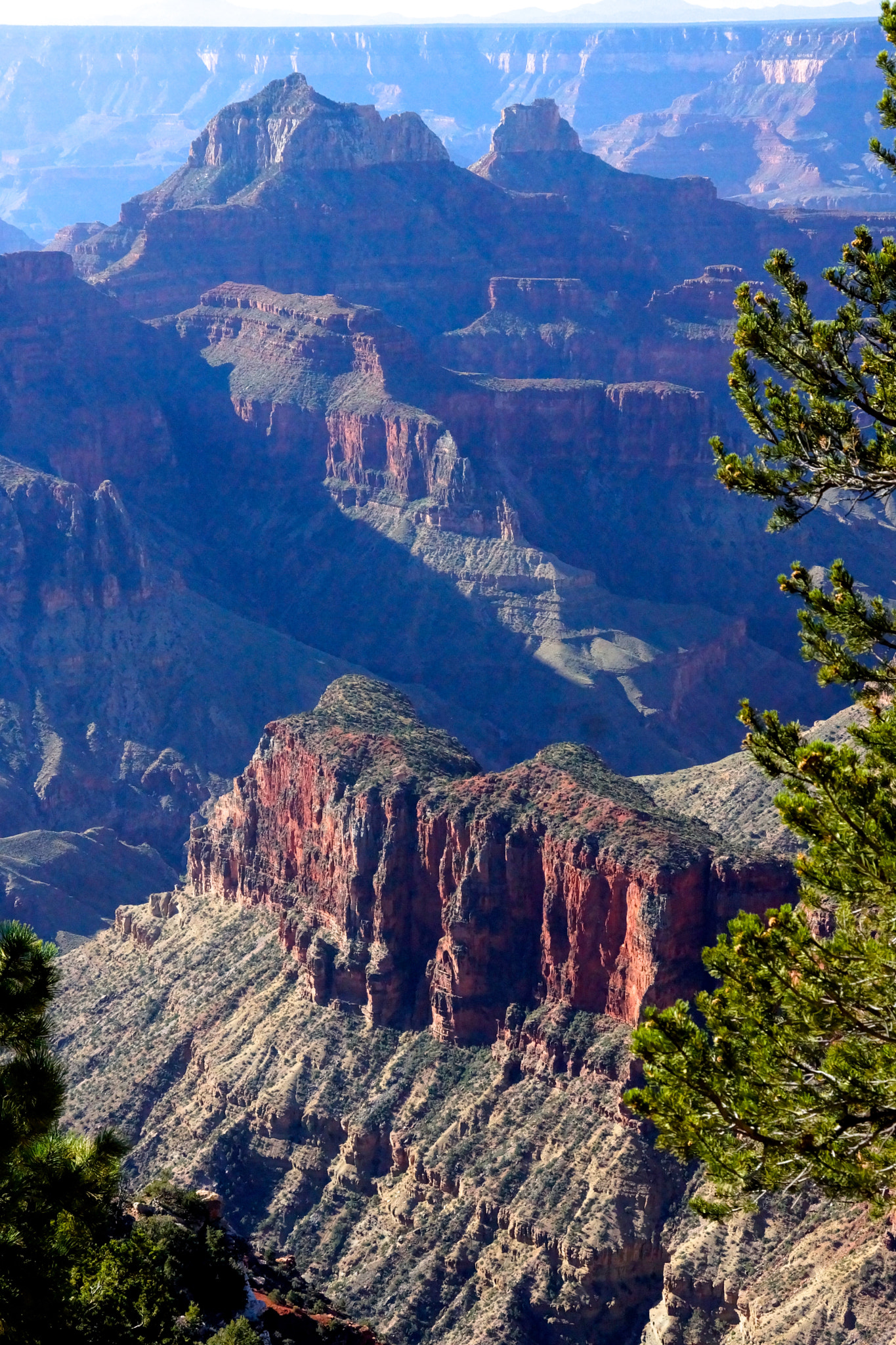 Sony E 18-55mm F3.5-5.6 OSS sample photo. Northrimgrandcanyonnm photography