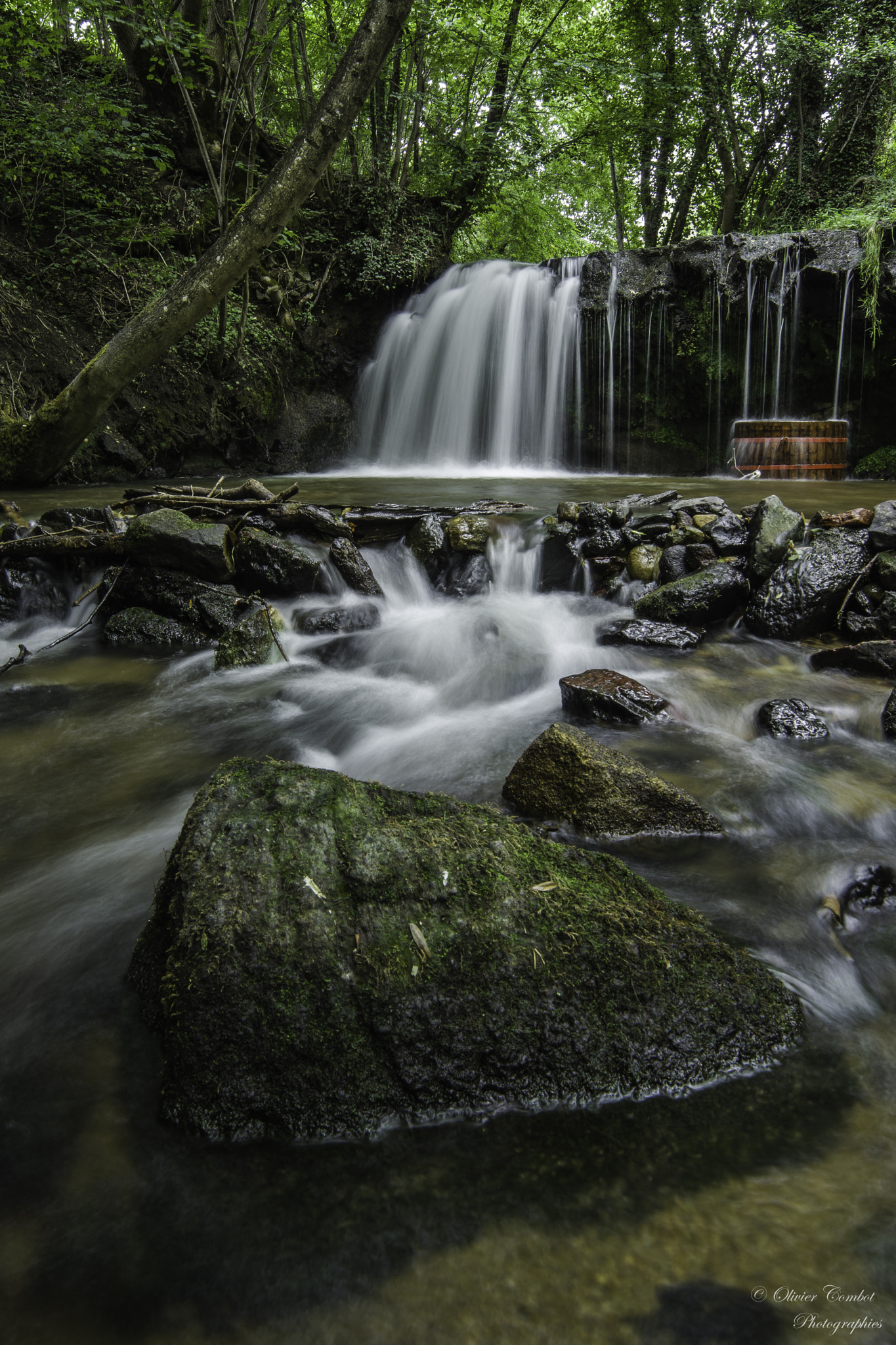 Pentax K-3 II + A Series Lens sample photo. Le sault de guillaume photography