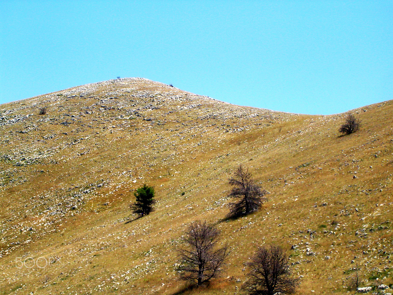 Sony DSC-P72 sample photo. Kornati archipelag,summer,3 photography