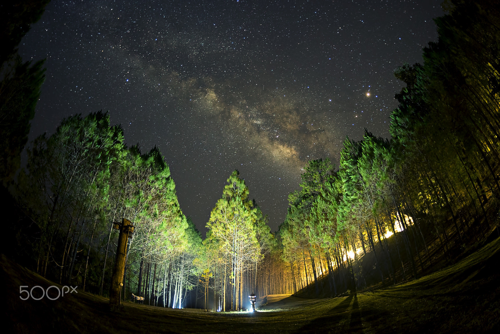 Sony a7S sample photo. Milky way,pine forest wat chan photography