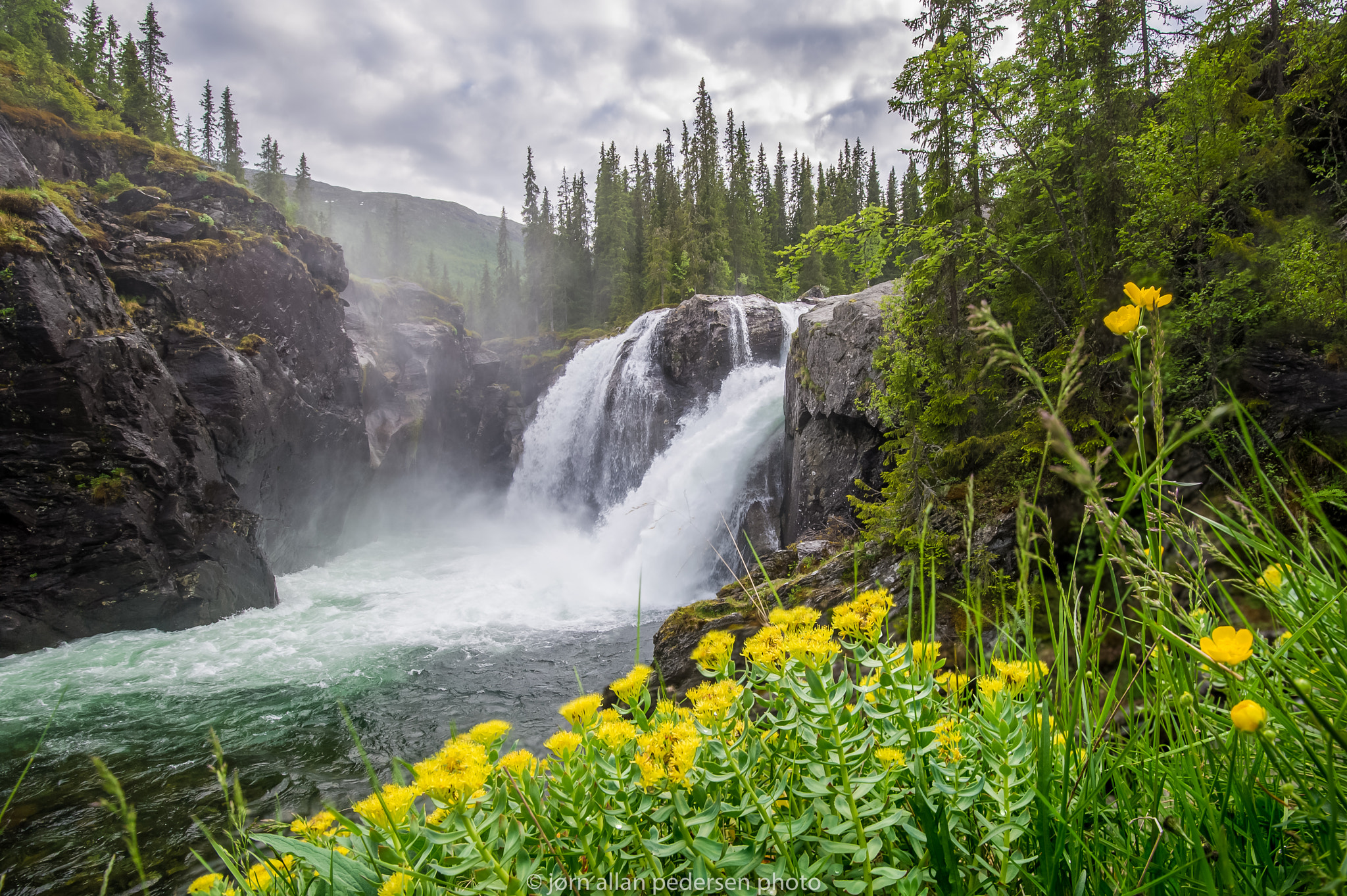 Nikon D3S sample photo. Meltwater for the flowers photography