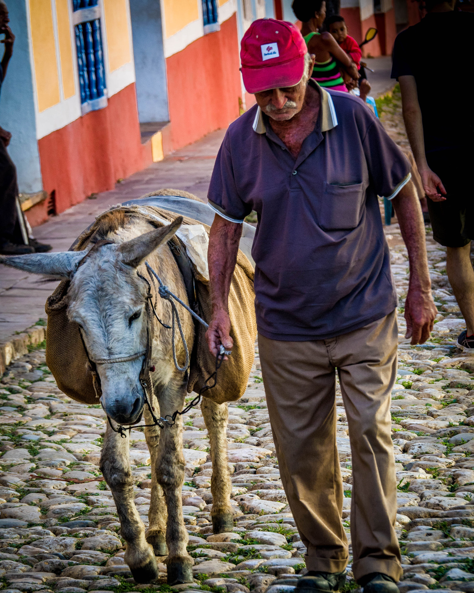 Olympus OM-D E-M5 II sample photo. Old friends photography