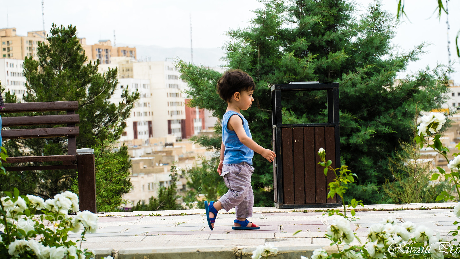 Fujifilm X-E1 + Fujifilm XC 50-230mm F4.5-6.7 OIS sample photo. Rayan <3 photography