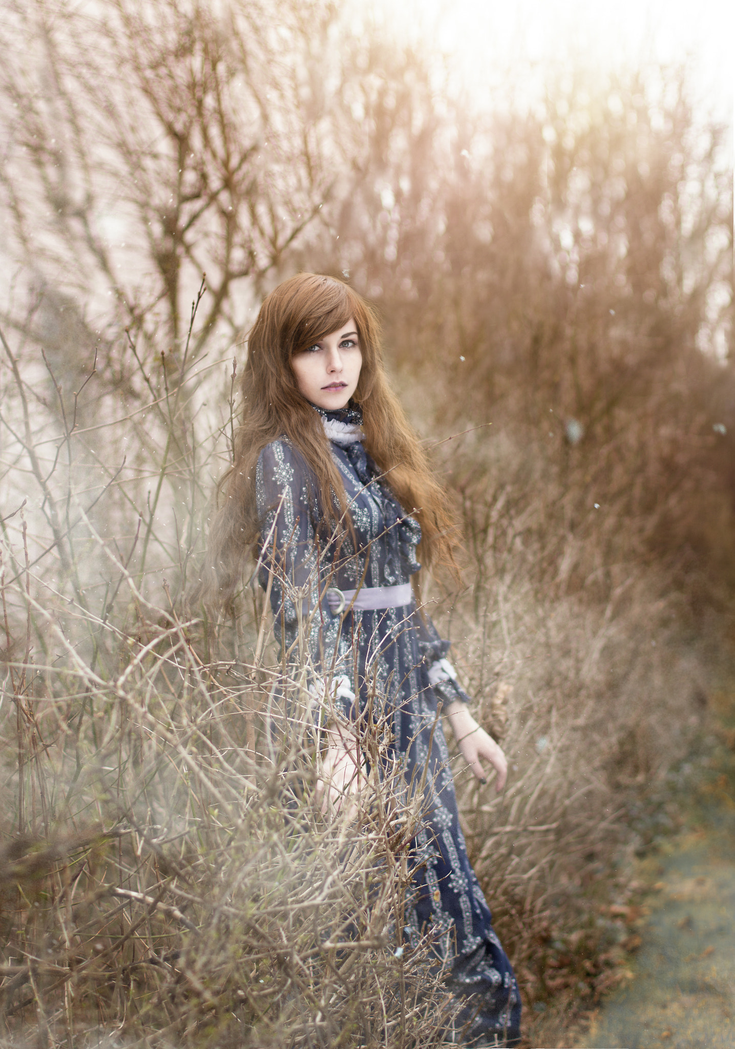 Canon EOS 60D + Canon EF 50mm F1.4 USM sample photo. Morning dew photography