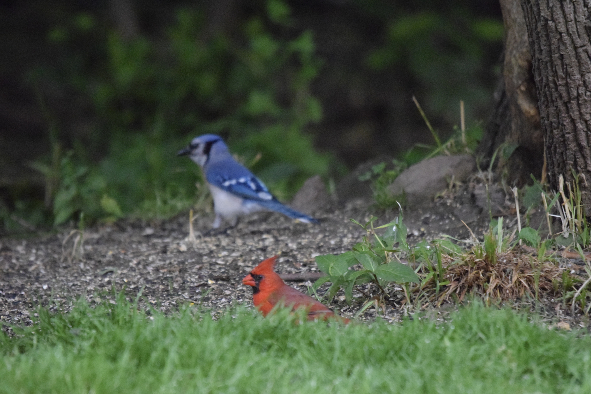 Sigma 120-400mm F4.5-5.6 DG OS HSM sample photo. Opposites attract photography