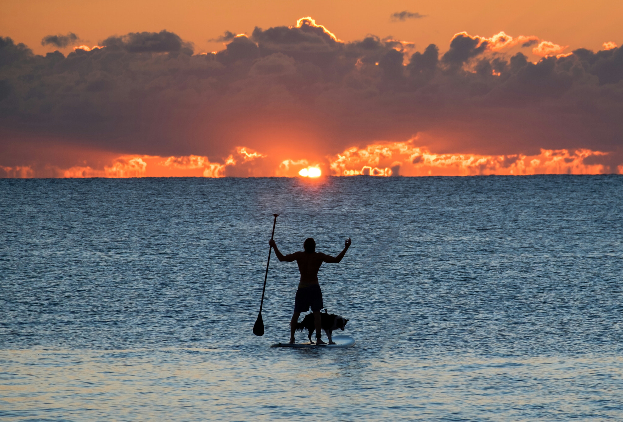 Fujifilm X-T10 + Fujifilm XC 50-230mm F4.5-6.7 OIS II sample photo. Surfer and his dog photography