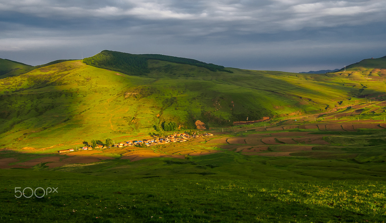 Olympus OM-D E-M5 sample photo. North china countryside photography