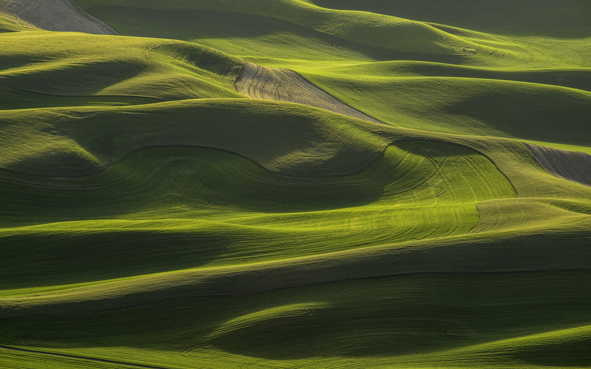 Sony a7R + Sony 75-300mm F4.5-5.6 sample photo. Palouse in spring photography