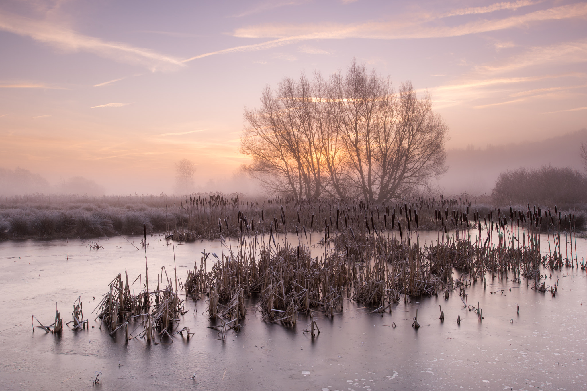 Nikon D810 + Nikon PC-E Nikkor 24mm F3.5D ED Tilt-Shift sample photo. Dawn photography