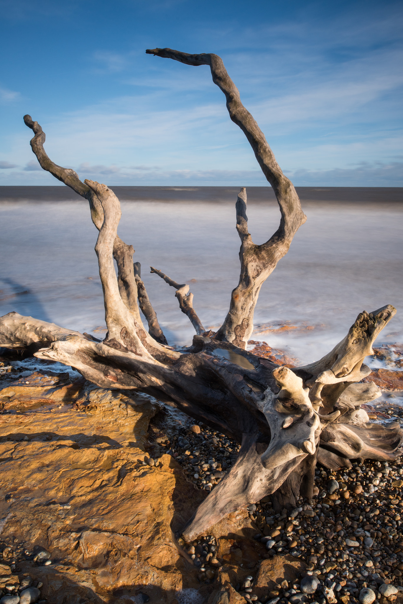 Nikon D810 + Nikon PC-E Nikkor 24mm F3.5D ED Tilt-Shift sample photo. Fallen photography