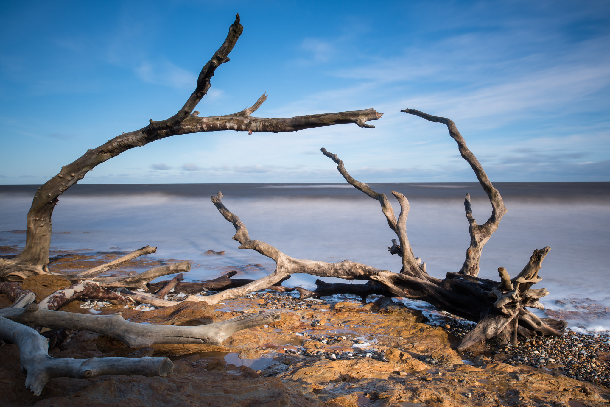 Nikon D810 + Nikon PC-E Nikkor 24mm F3.5D ED Tilt-Shift sample photo. Dead limbs photography