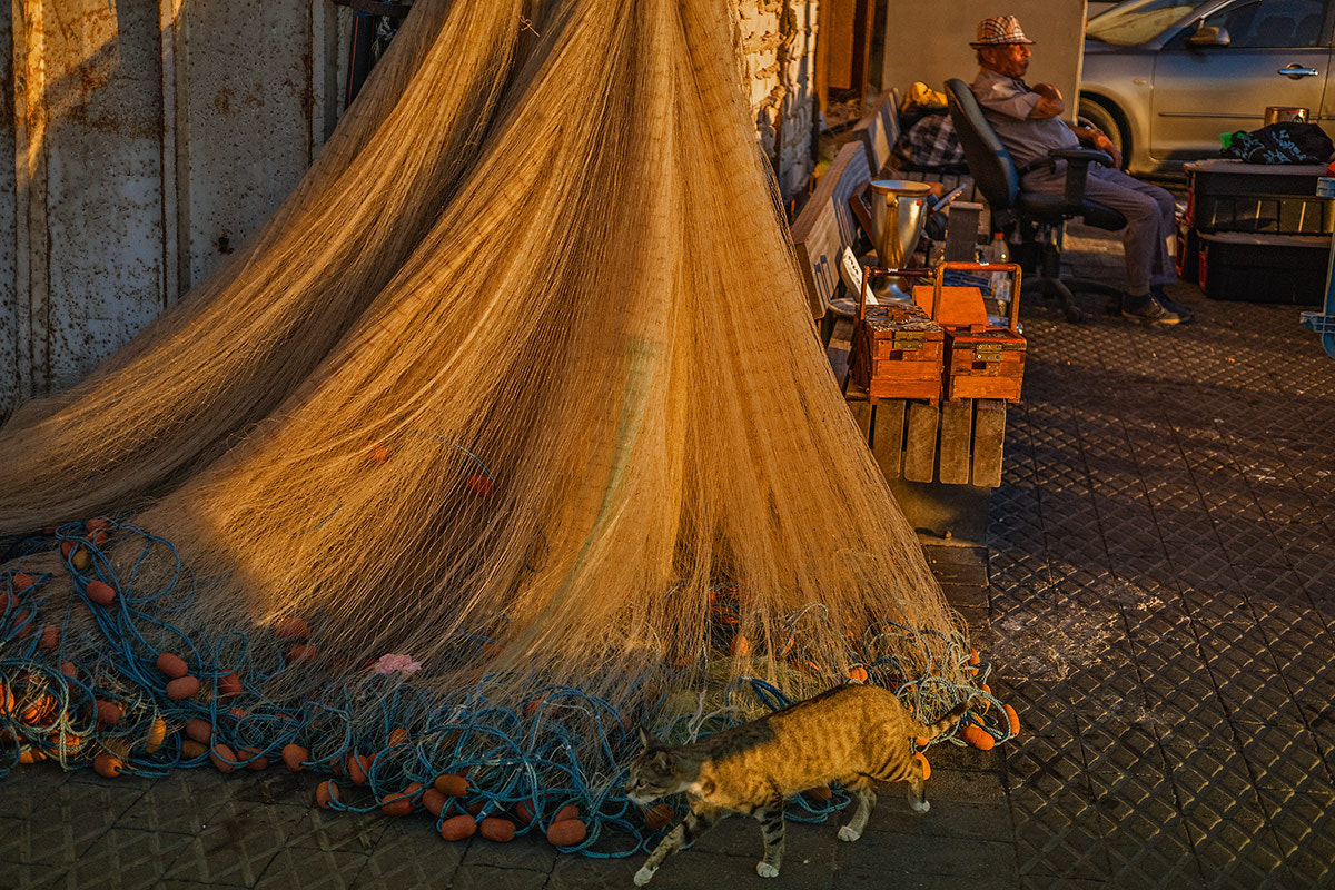 Sony 50mm F2.8 Macro sample photo. Old yafo,sunset photography