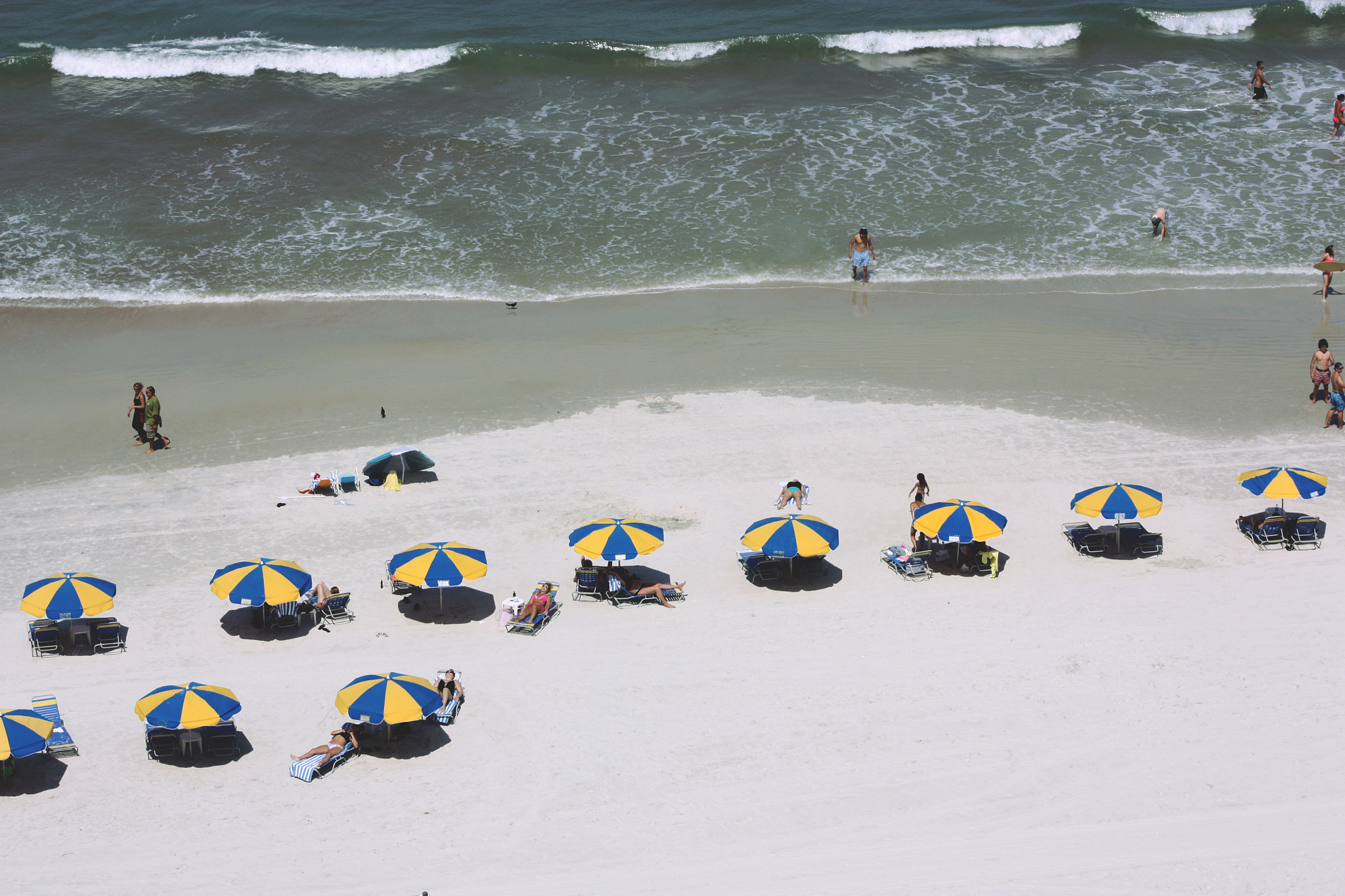 Canon EOS 450D (EOS Rebel XSi / EOS Kiss X2) sample photo. Daytona beach, fla photography