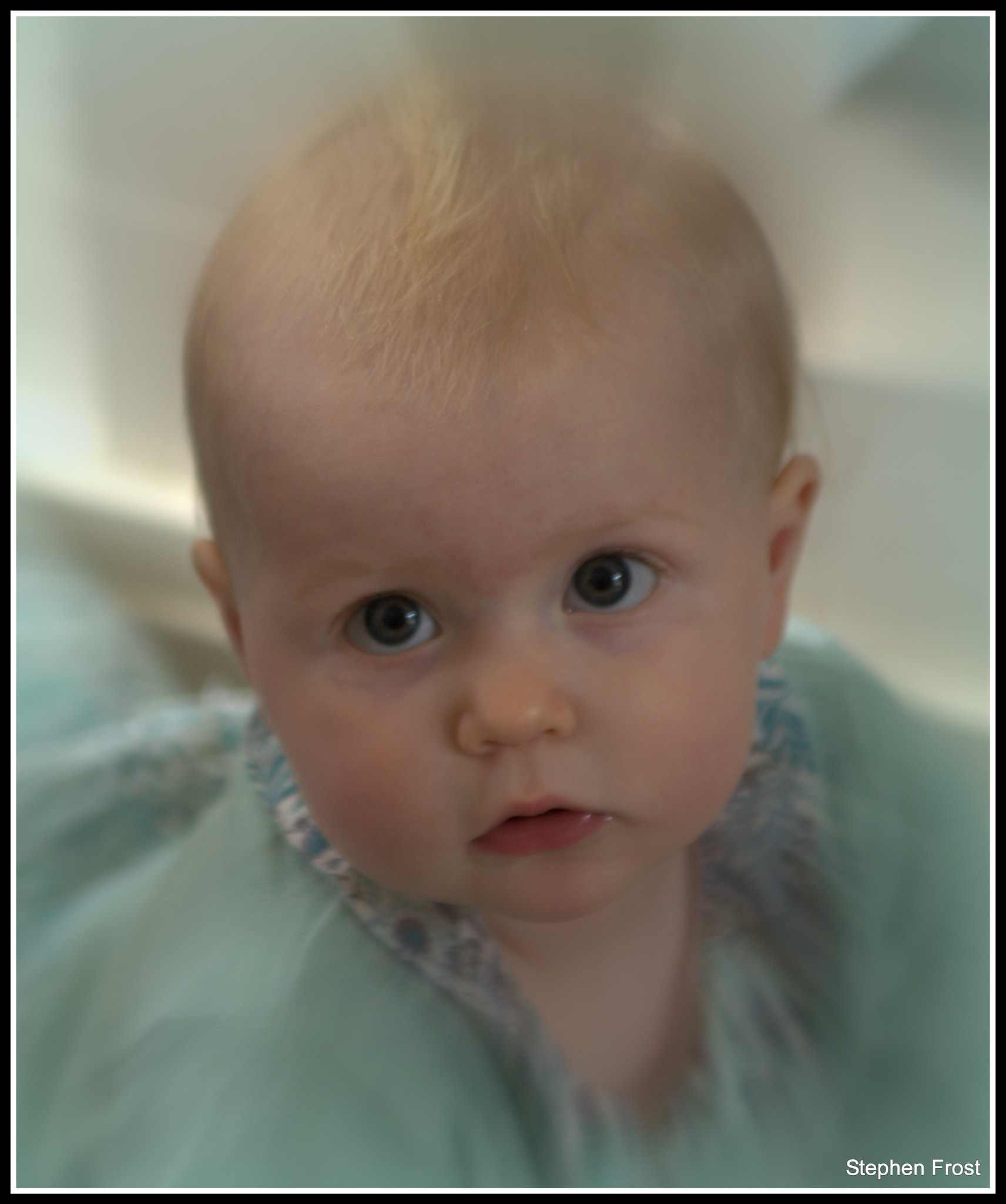 Sigma 24-70mm F2.8 EX DG Macro sample photo. Look i can almost crawl photography
