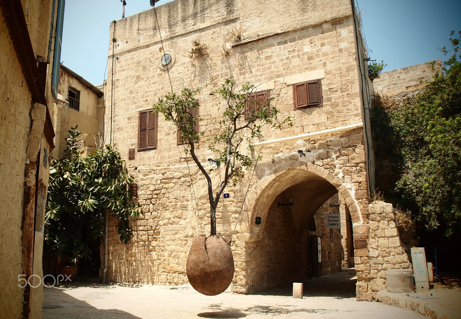 Olympus M.Zuiko Digital 14-42mm F3.5-5.6 II sample photo. Hanging tree in yaffo photography