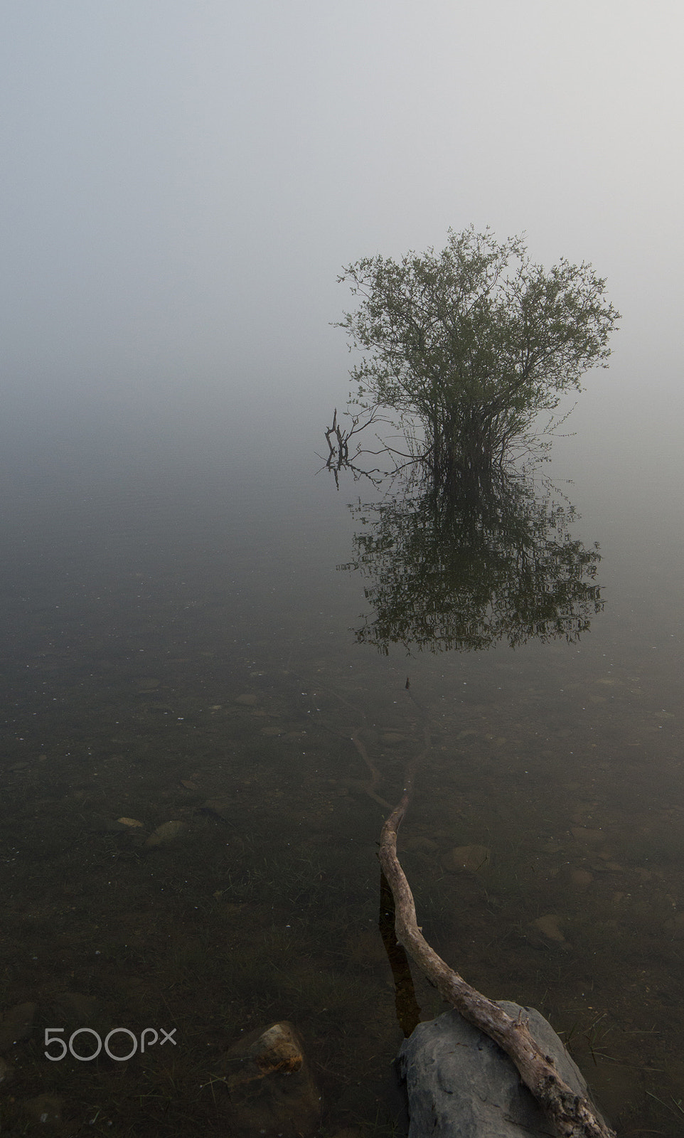 Samyang 14mm F2.8 ED AS IF UMC sample photo. Fog and water photography