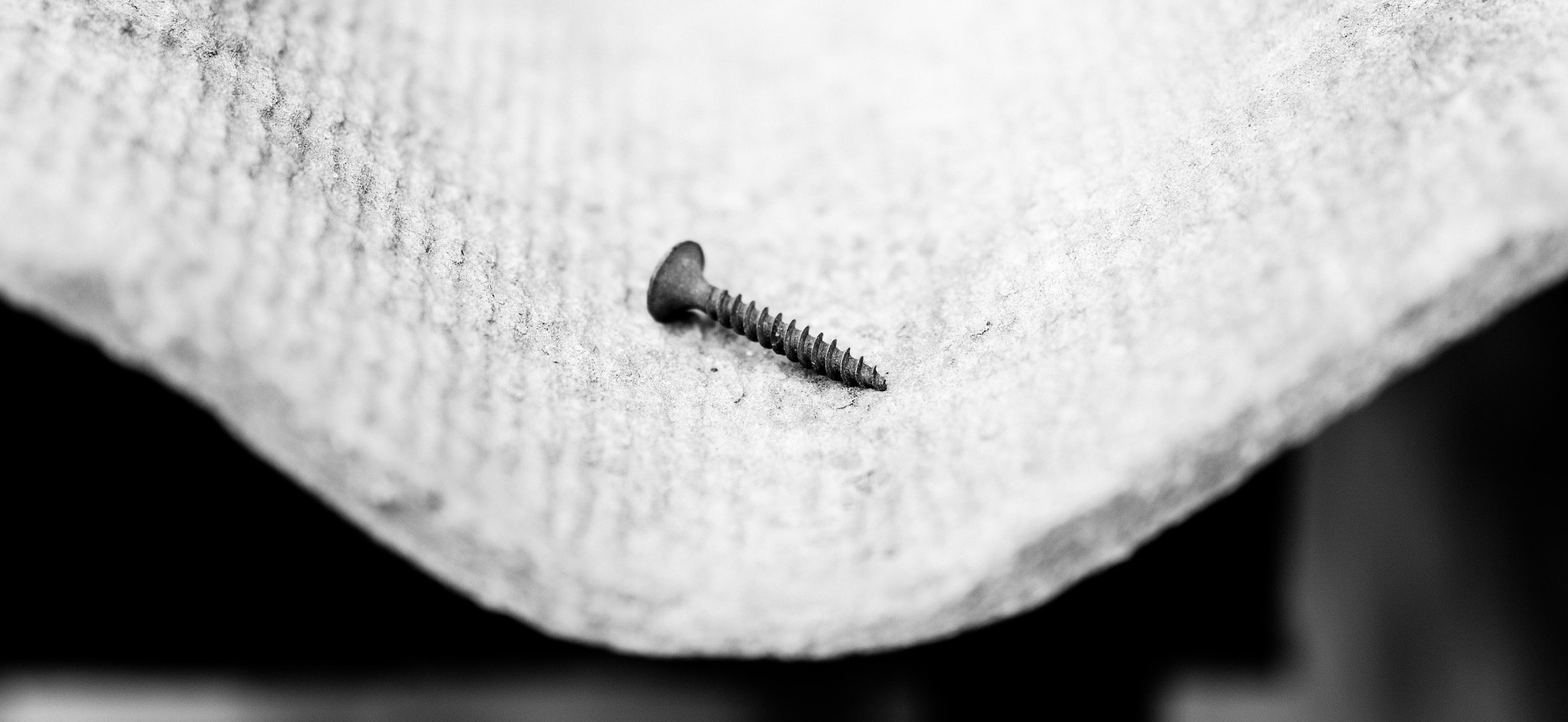 Sigma 50mm F1.4 EX DG HSM sample photo. Nailded photography