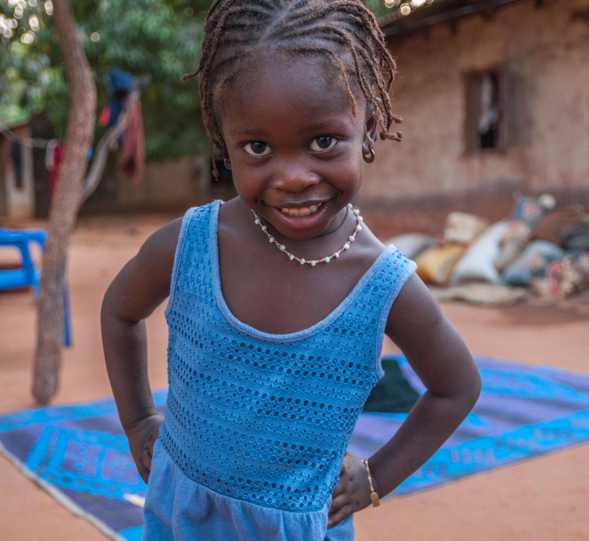 Sigma 17-50mm F2.8 EX DC OS HSM sample photo. Don't mess with africa photography