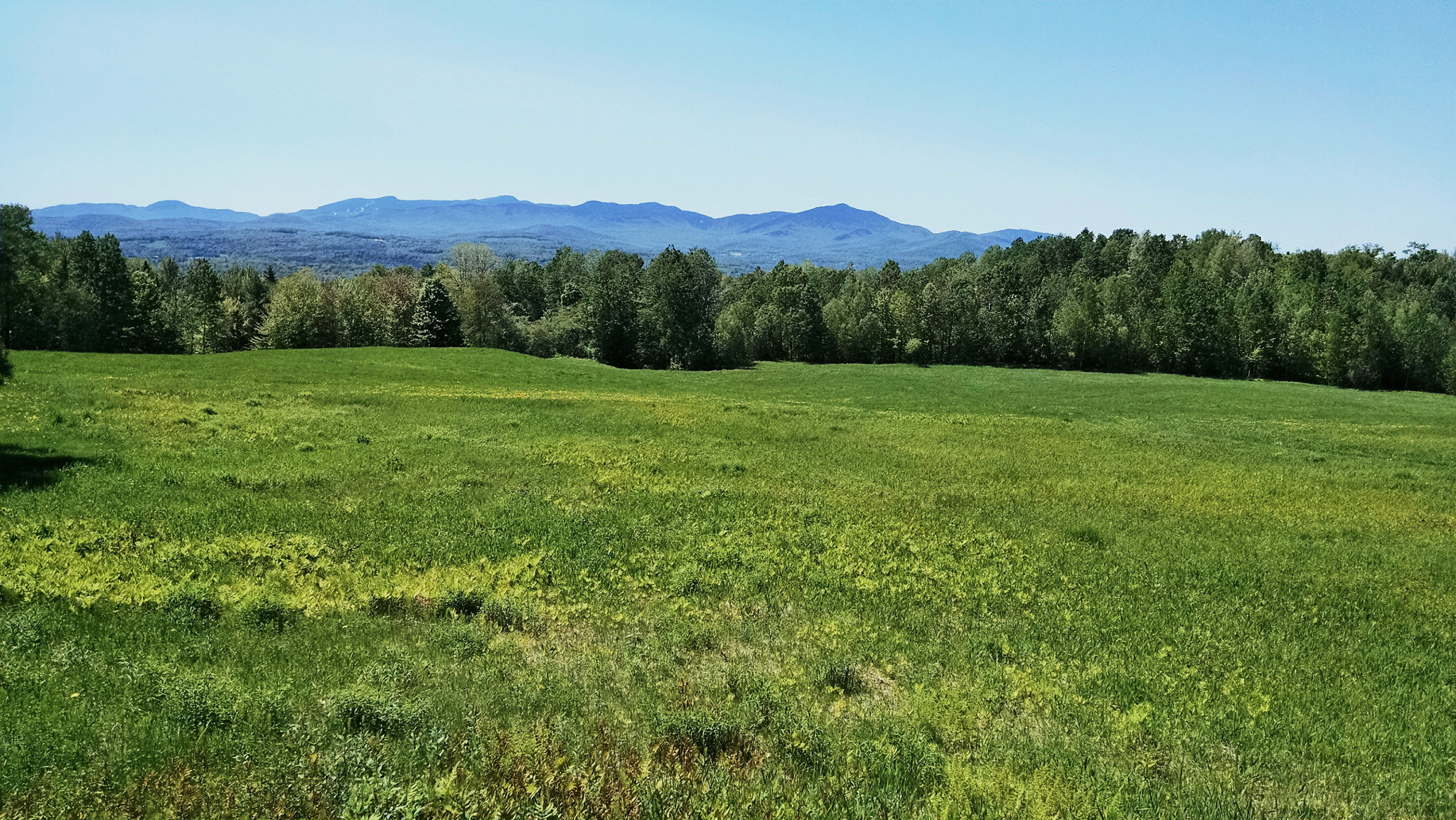 Motorola Droid Mini sample photo. Mount mansfield photography